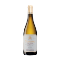 Contino White Contino White