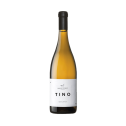 Tino Tino