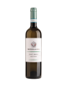 Pinot Grigio DOC Delle Venieze 